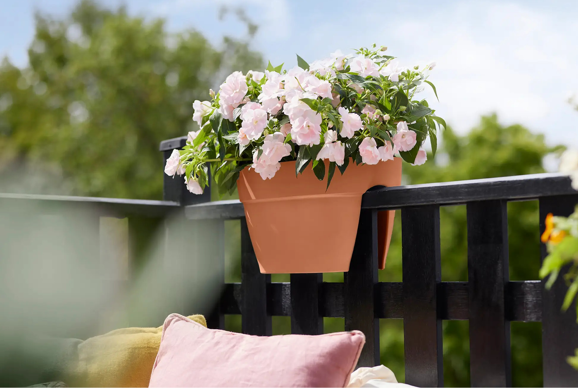 elho® Balkonkasten Vibia Campana Flower Bridge 40cm terra