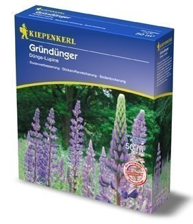 Gründünger-Saaten Dünge-Lupine, 1 kg Lupinus angustifolius