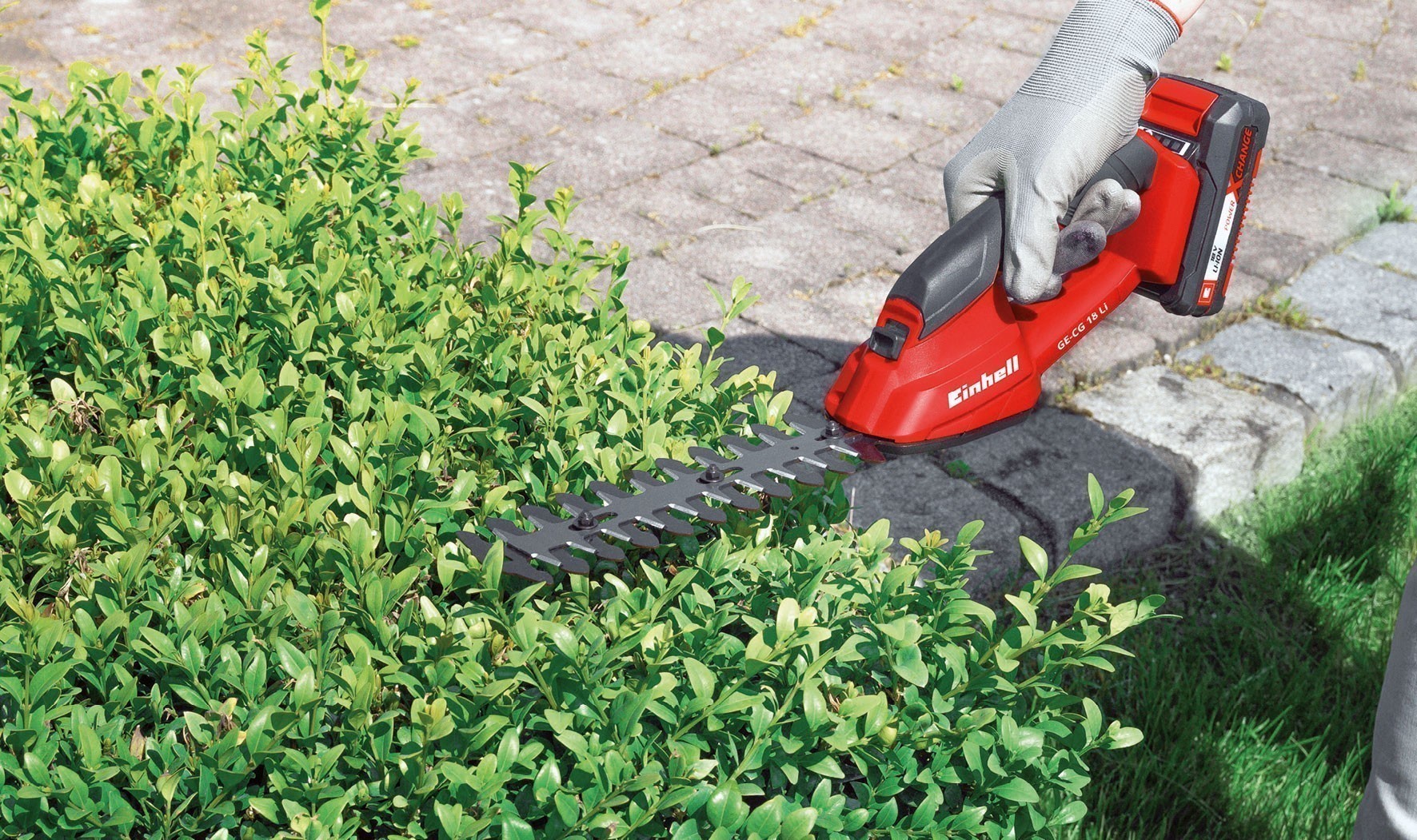 Einhell Akku-Gras- Strauchschere GE-CG 18 Li Power X-Change ohne Akku