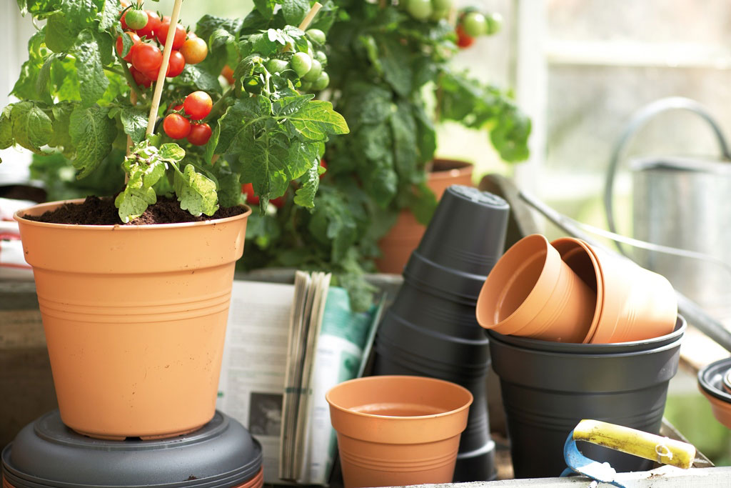Untersetzer Blumentopf elho Pflanzkübel Green Basics Ø 34cm schwarz