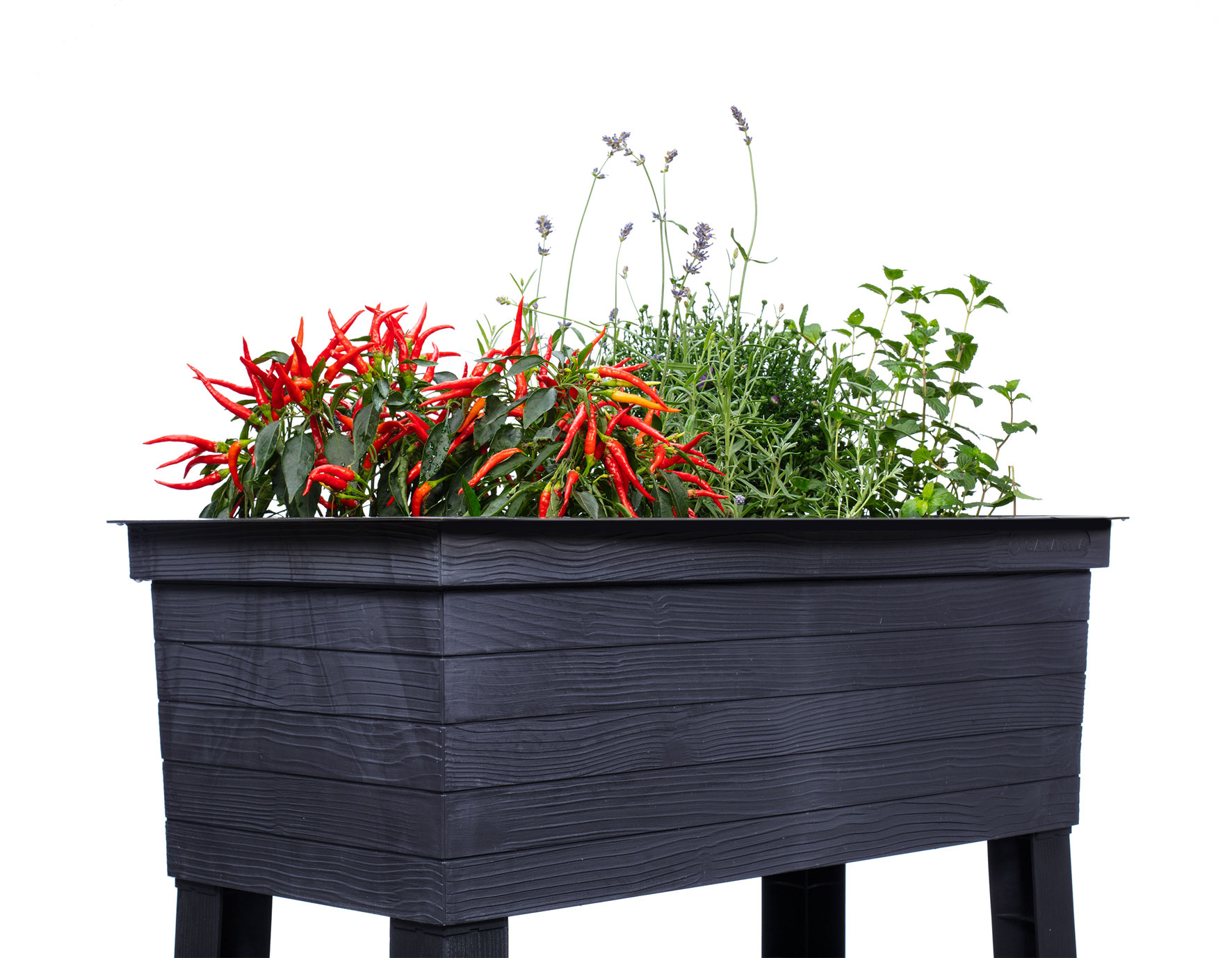 Hochbeet  Balkon-Hochbeet Urban 75x37x65cm