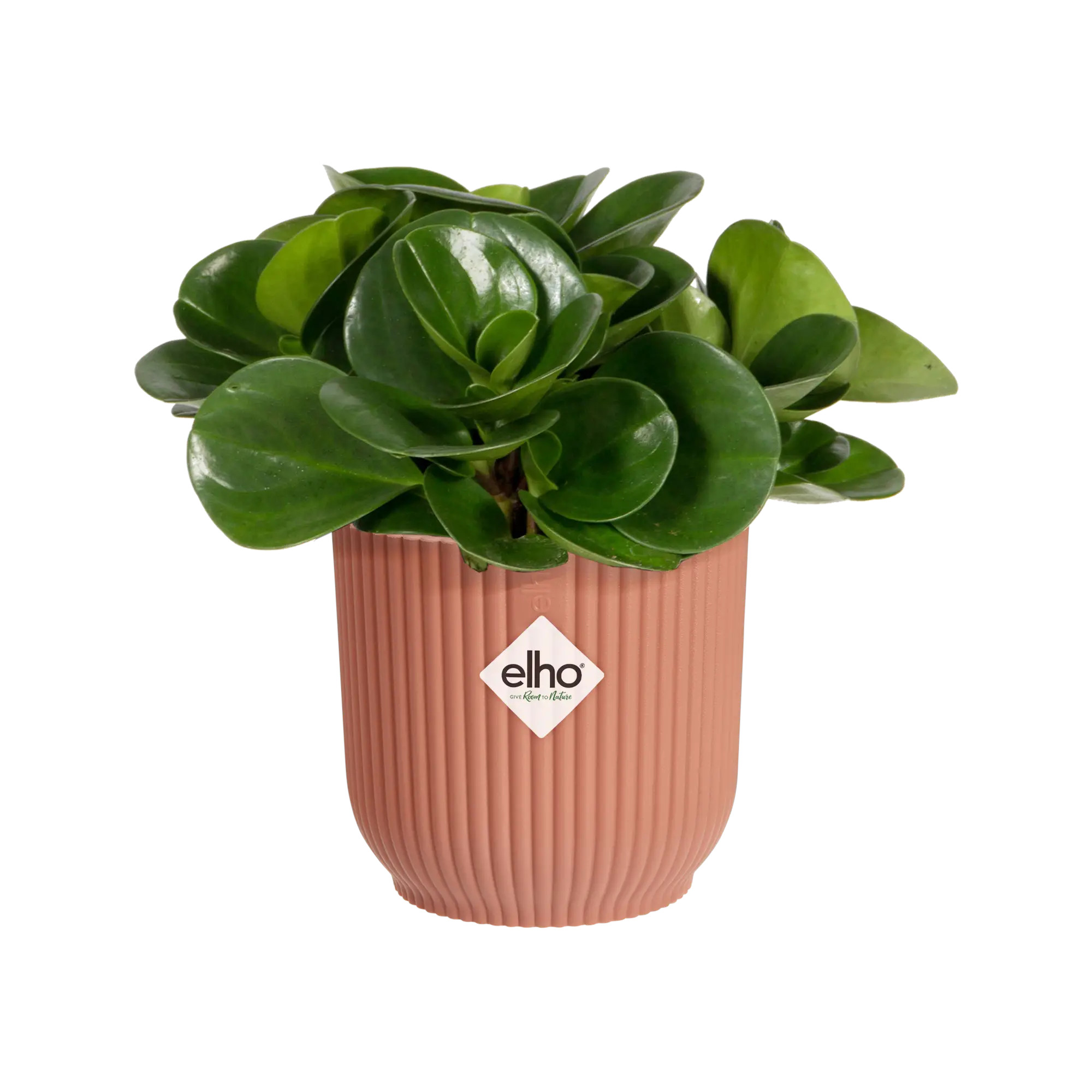 elho® Blumentopf Vibes Fold Rund Mini 7cm zartrosa