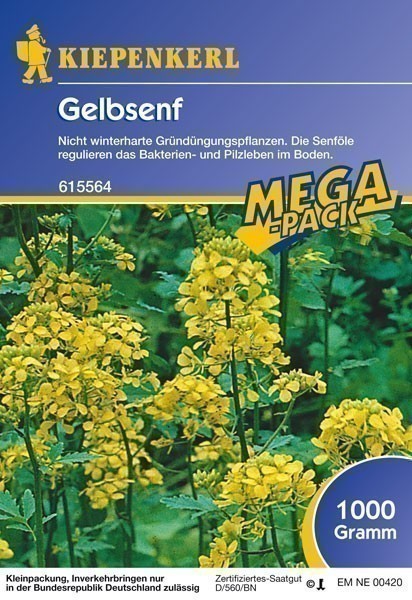 Gründünger-Saaten Gelbsenf, 1 kg Sinapsis alba