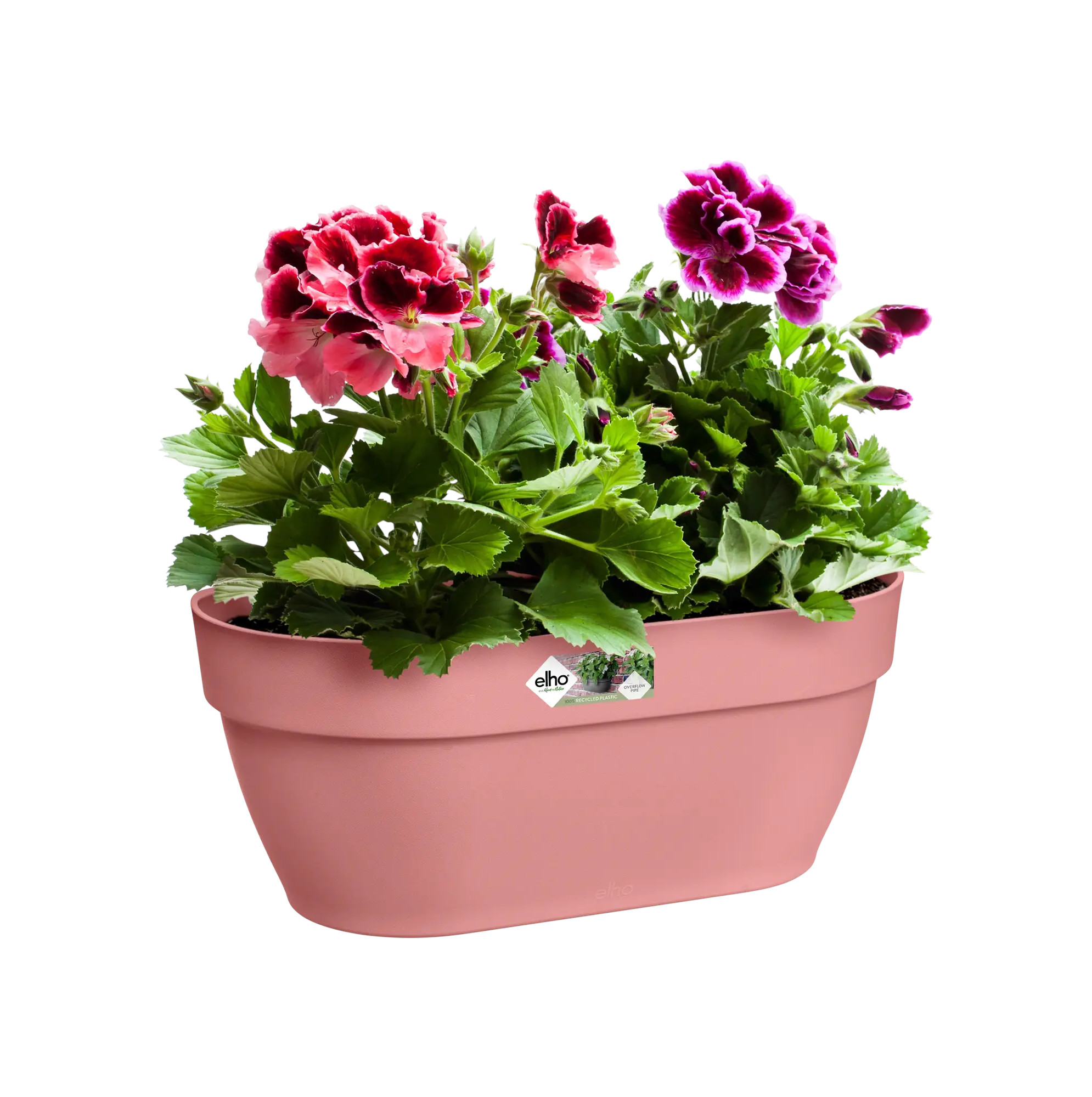 elho® Blumentopf Vibia Campana Wandampel 35cm puderrosa