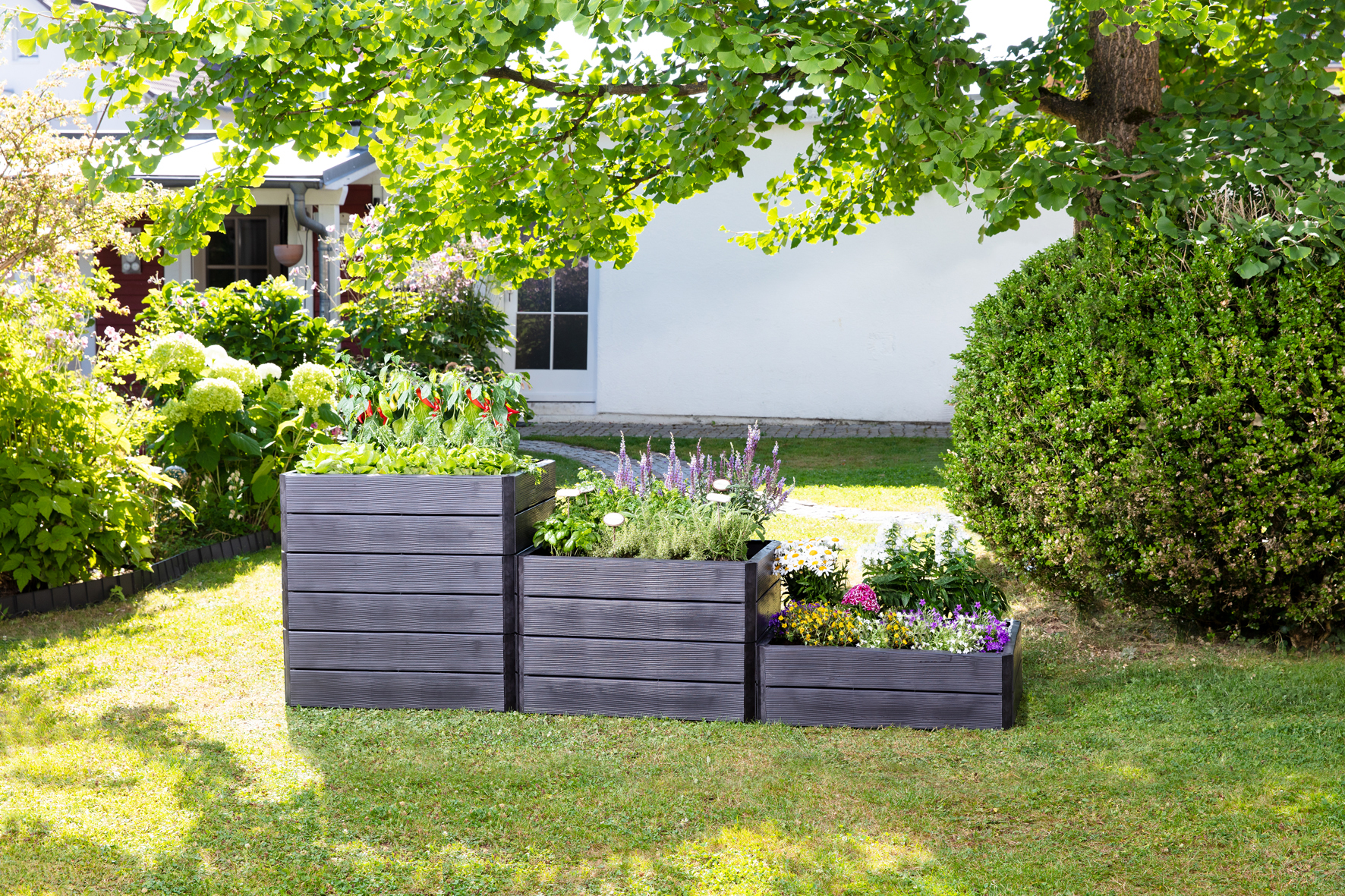GARANTIA® Ergo Hochbeet System Quadro S aus 4 Paneelen