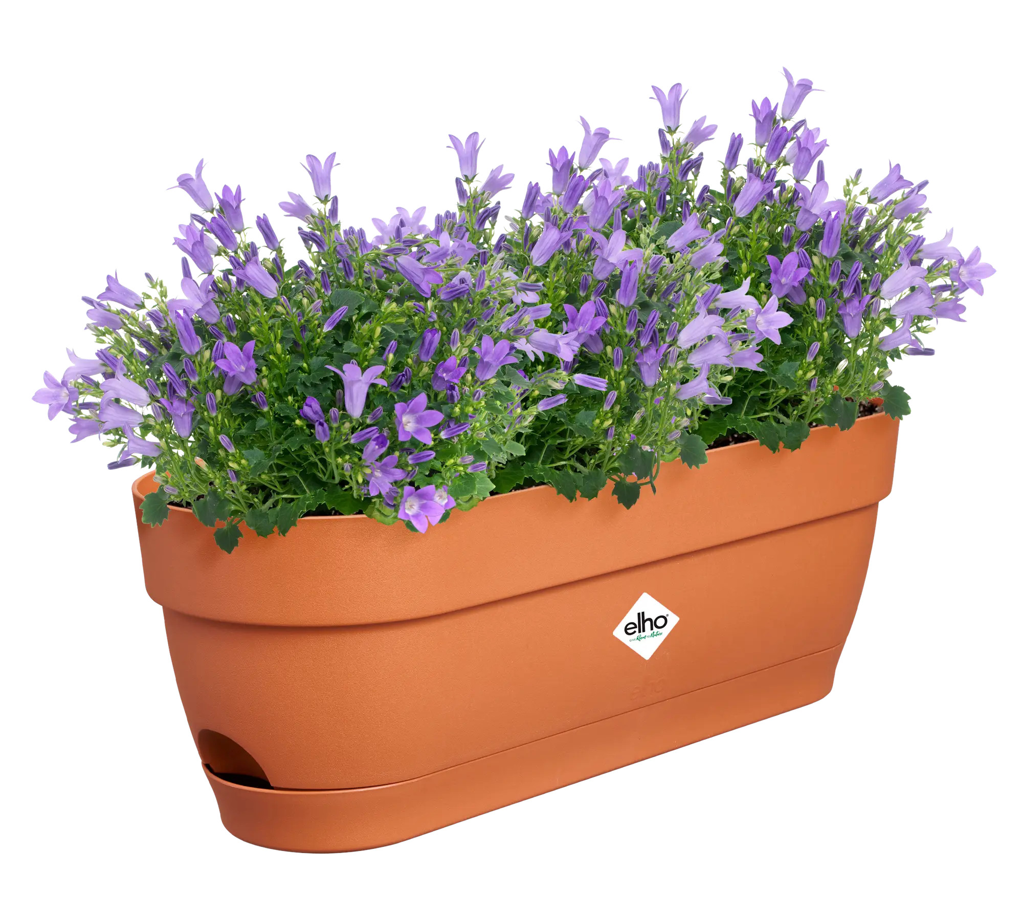 elho® Balkonkasten Vibia Campana 50cm terra
