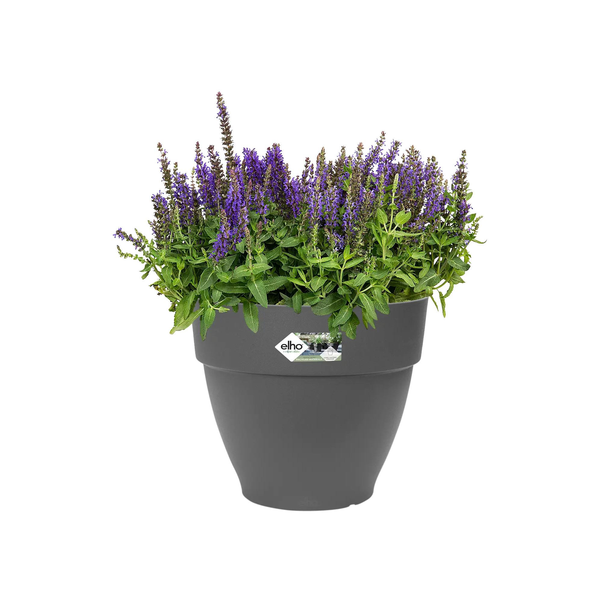 elho@ Blumentopf Vibia Campana Rund 39cm anthrazit