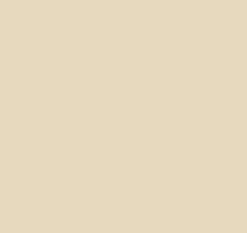 Wilckens® Buntlack 2in1 hellelfenbein seidenmatt 375ml
