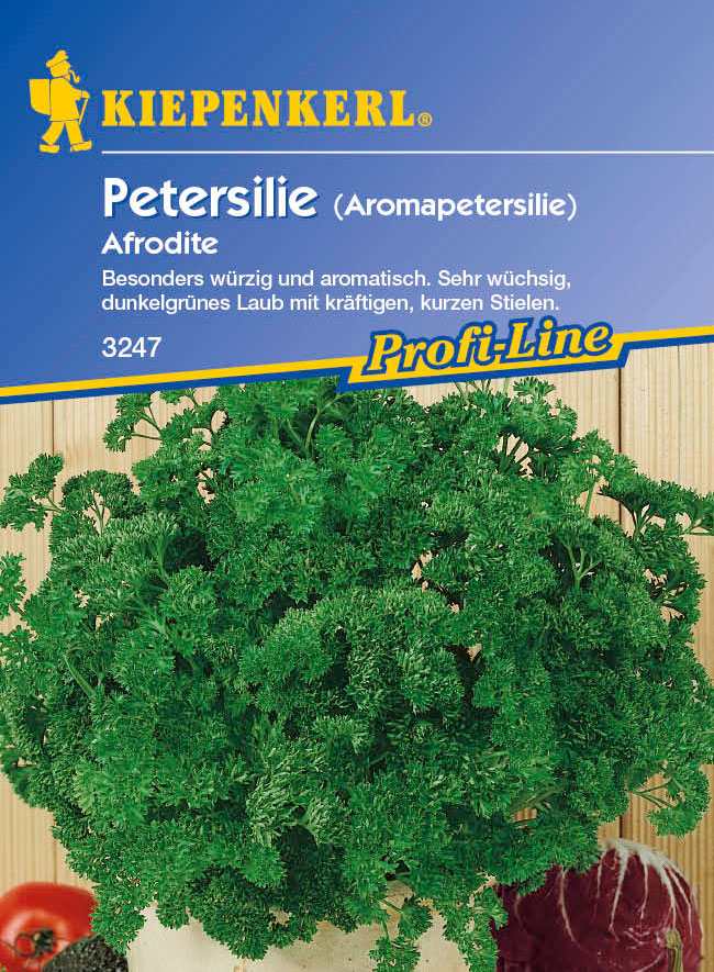 Saatgut Petersilie-Saatgut Aromapetersilie 'Afrodite'