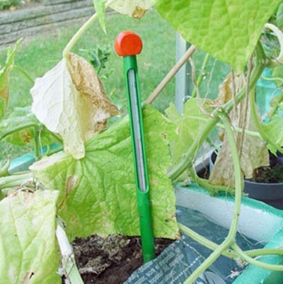 Erdbodenthermometer für Juliana Gewächshaus
