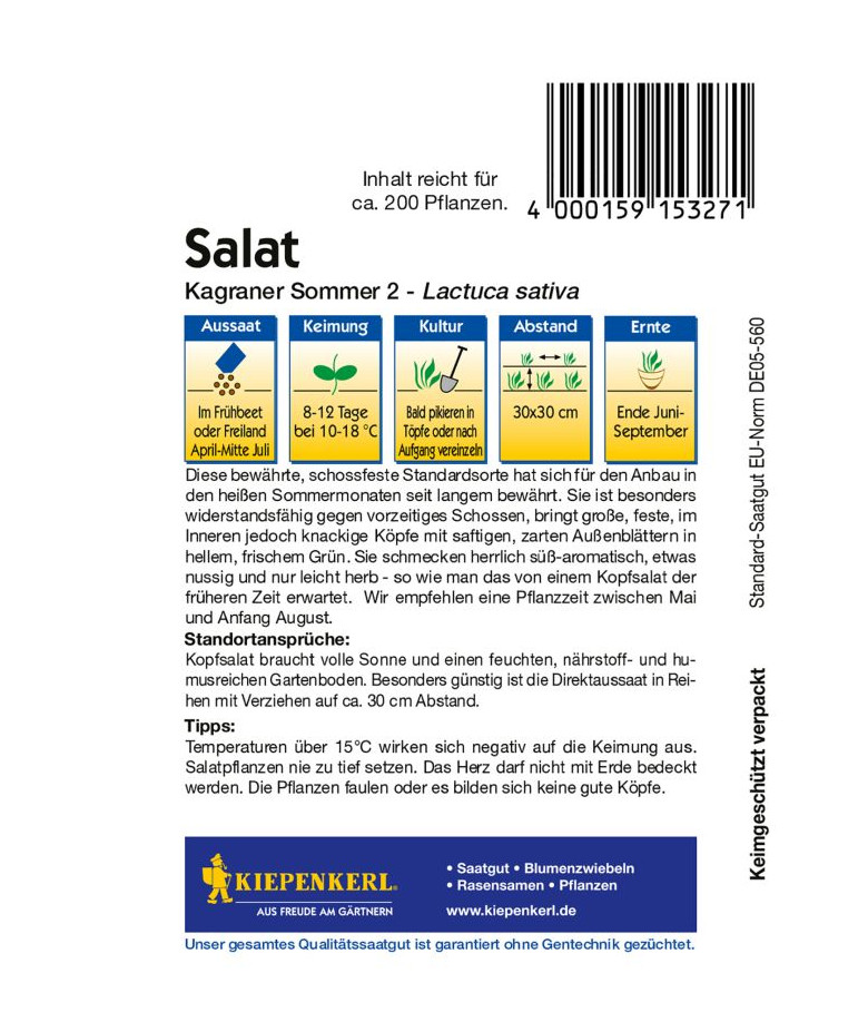 Kiepenkerl Saatgut Kopfsalat Kagraner Sommer 2