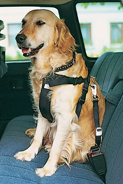 Sicherheitsgurte für Hunde TRIXIE Größe M