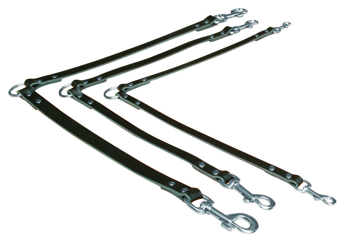 Koppel aus Leder für 2 Hunde M - L  35cm 18mm schwarz