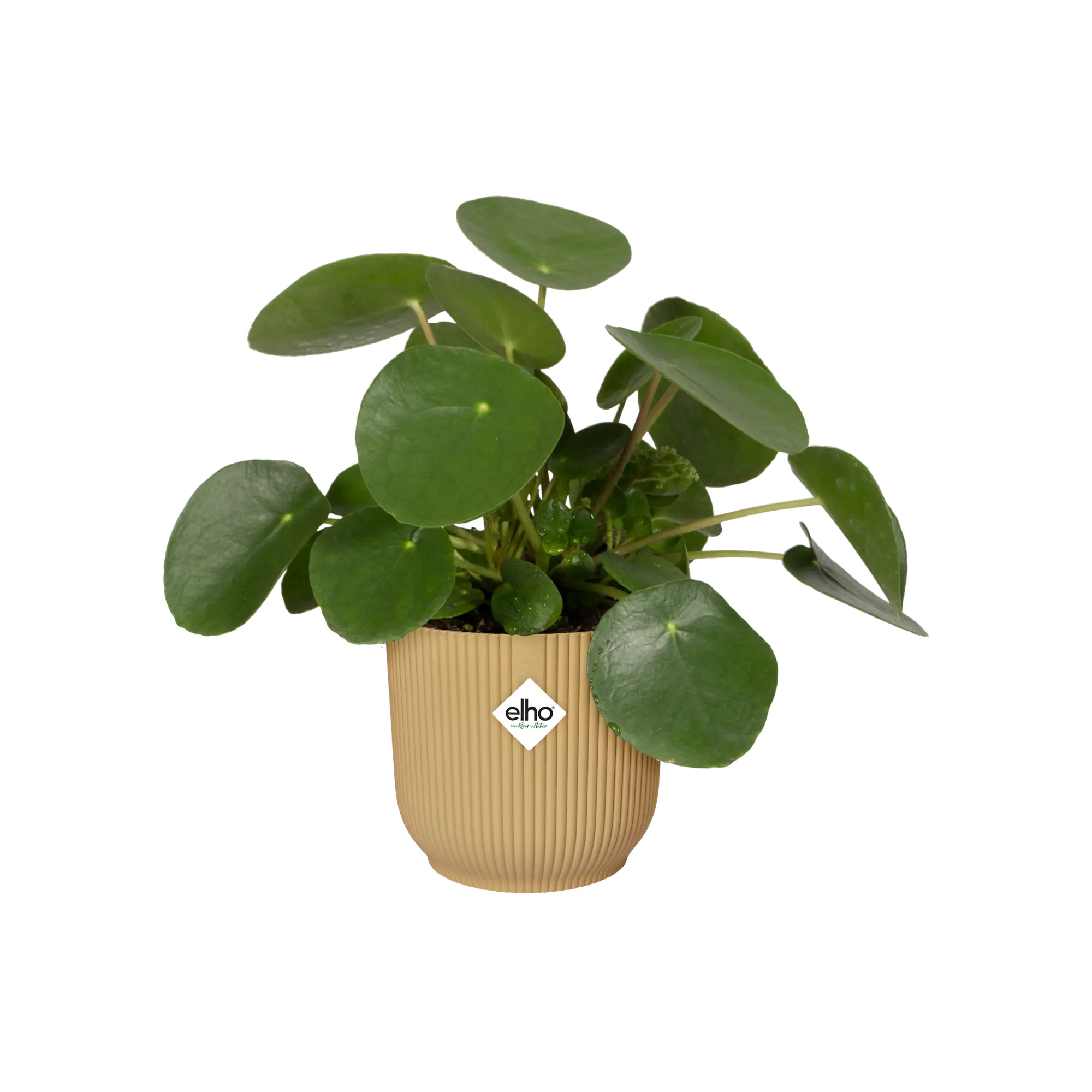 elho® Blumentopf Vibes Fold Rund 14cm buttergelb