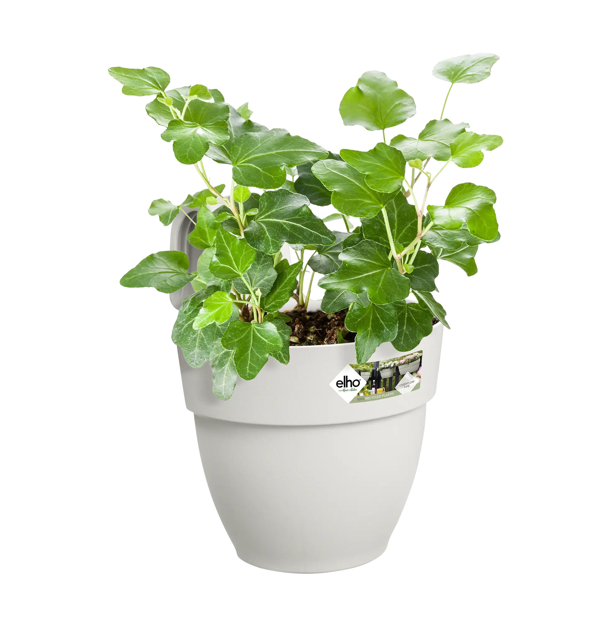 elho® Balkonkasten Vibia Campana Easy Hanger Small seidenweiß