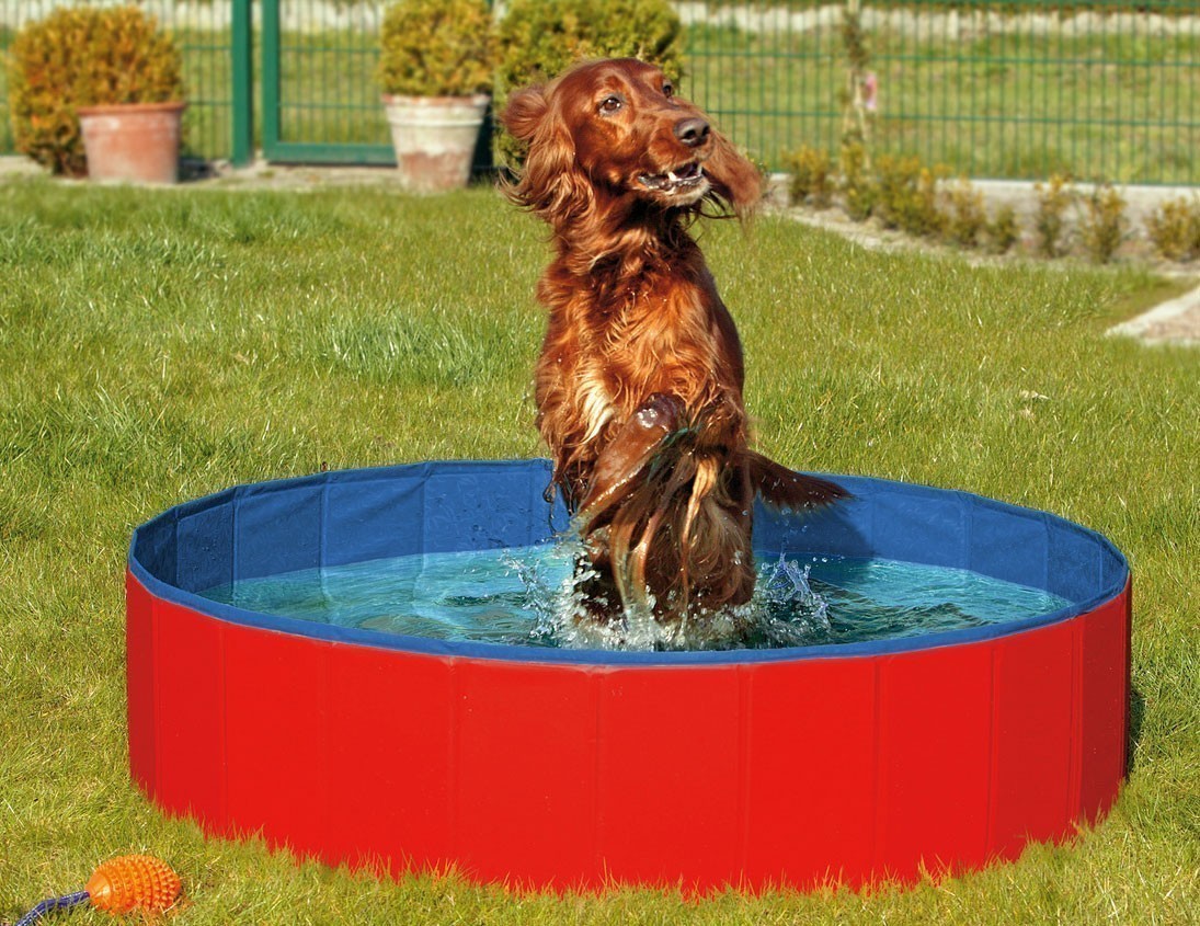 Hundepool / Doggy Pool Karlie 160 x 30 cm blau/rot