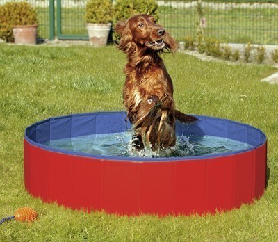Hundepool / Doggy Pool Karlie 120 x 30 cm blau/rot