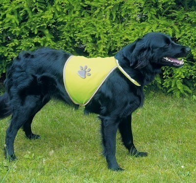 Sicherheitsweste Safety Light TRIXIE Größe M