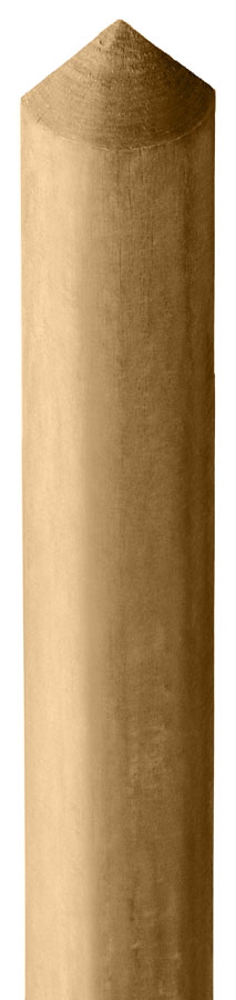Einzelstaketen Ø 55m Länge 100cm