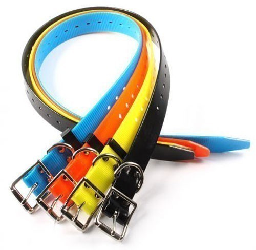 Num'axes Canicom Ersatzhalsband ohne Empfänger 85cm orange 1 Stück