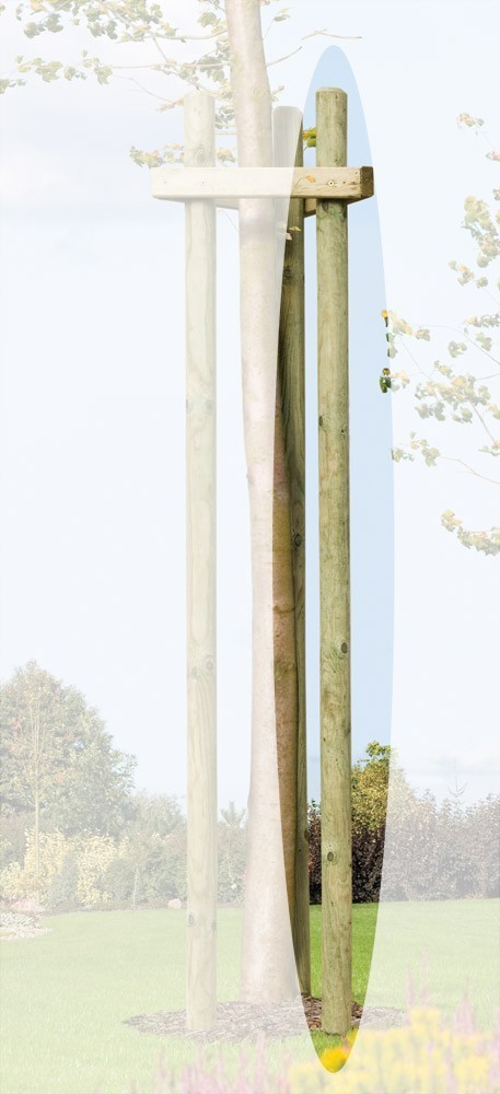 Baumpfahl / Pflanzpfahl / Holzpfahl gespitzt und gefast kdi Ø 6x200cm