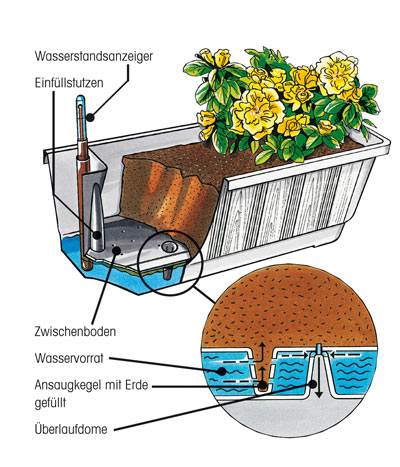 Bewässerungsblumenkasten Aqua Green Plus 60 cm anthrazit