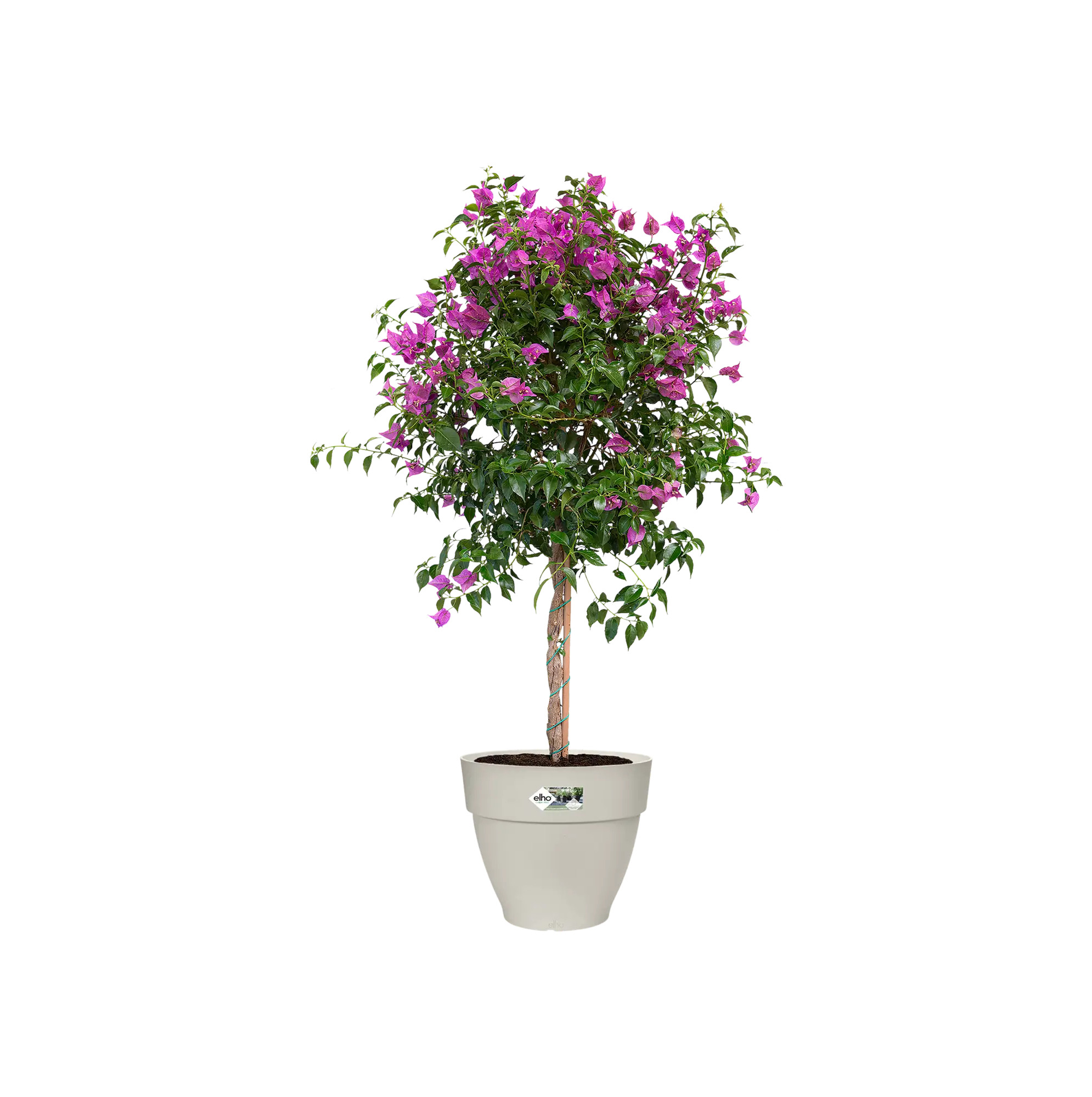 elho@ Blumentopf Vibia Campana Rund 35cm seidenweiß