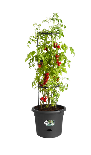elho Tomatentopf Green Basics schwarz Ø33cm