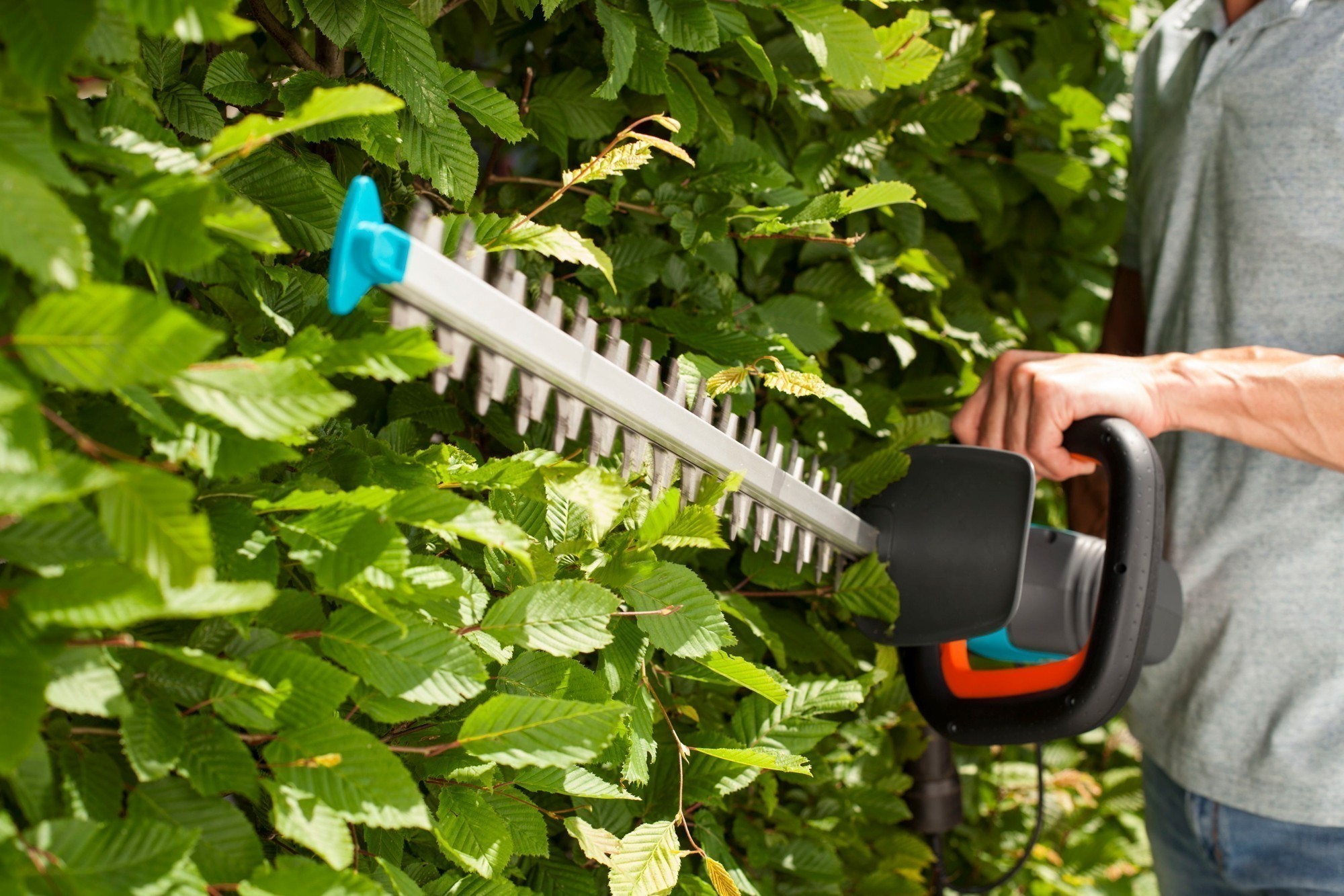 GARDENA Elektro Heckenschere ComfortCut 600/55 09834-20