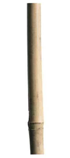 Floraworld® Bambus Pflanzstab Classic 150cm