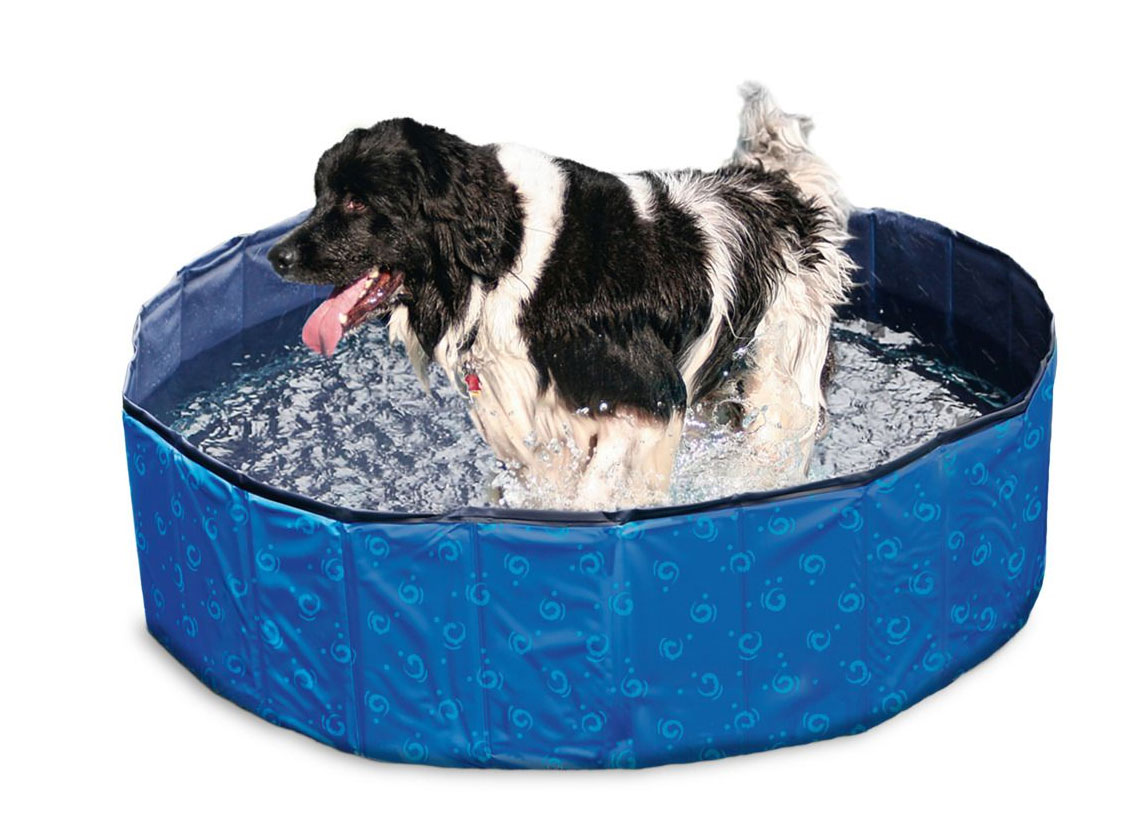 Hundepool / Doggy Pool Karlie 160x30cm blau / schwarz