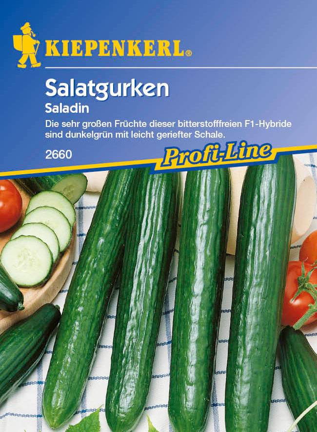 Saatgut Gurken Saladin 