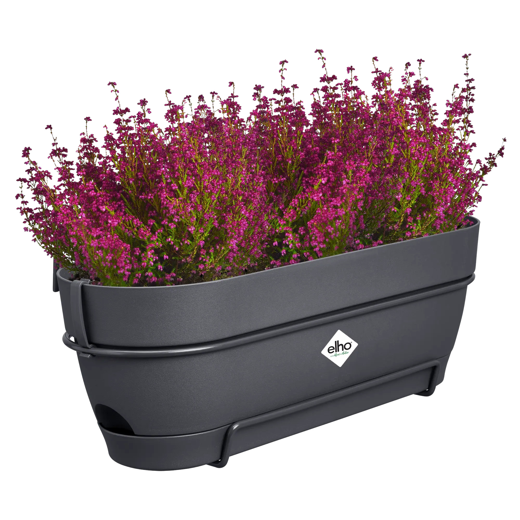 elho® Balkonkasten Vibia Campana ALLin1 50cm anthrazit