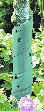 Baumschutz Spiralen / Baummanschette classic floraworld 60cm 2 Stück
