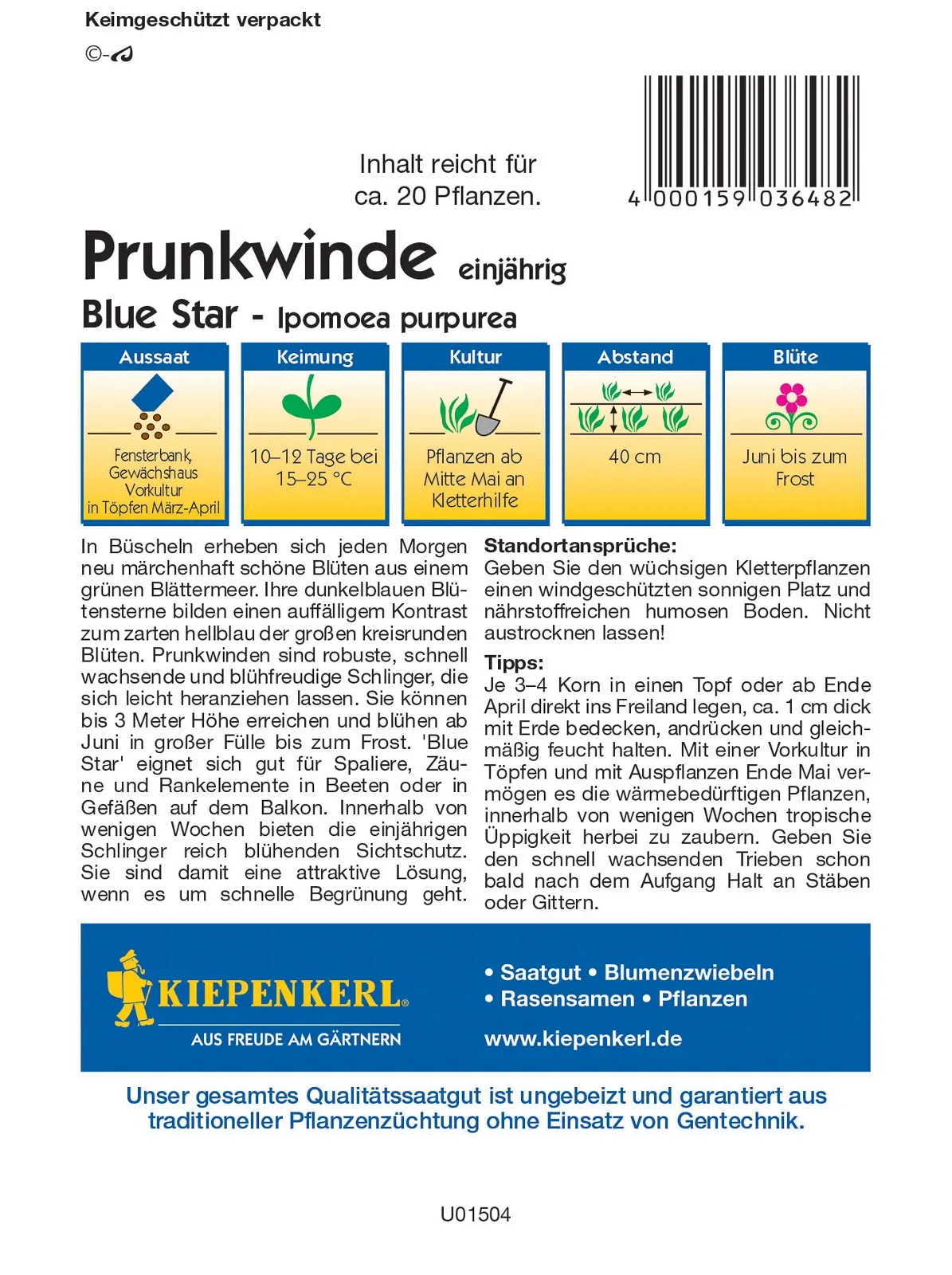 Kiepenkerl® Prunkwindensamen Blue Star