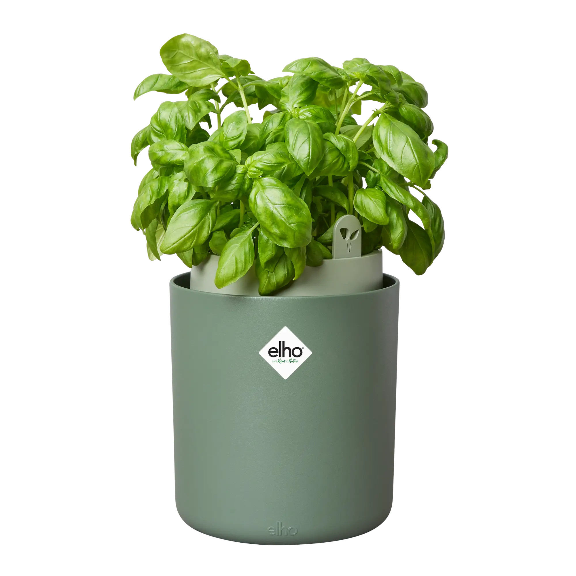 elho® Kräutertopf Bouncy Basil laubgrün
