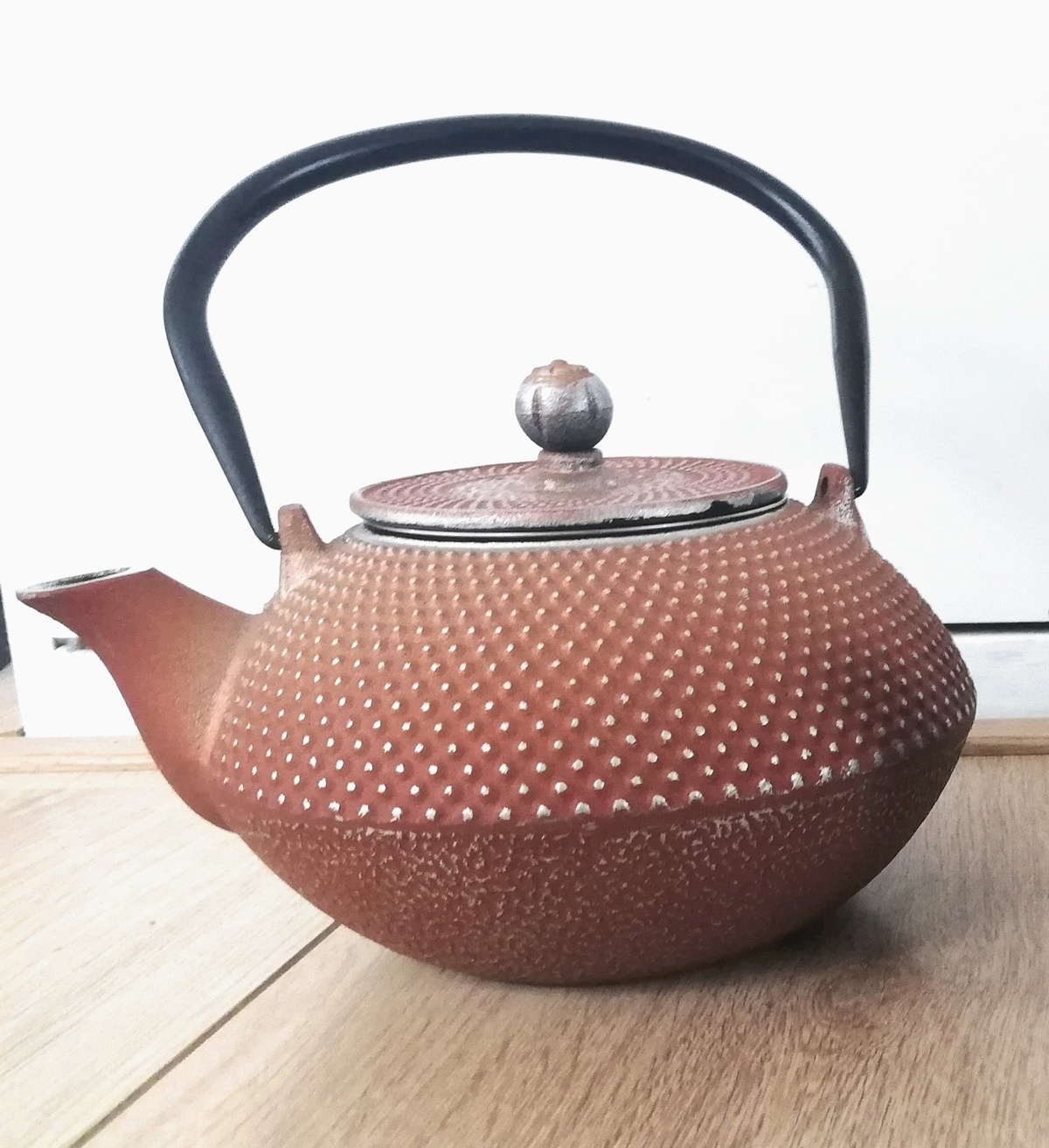 Globe Fire Fonte Tee-/Wasserkessel Gusseisen 1,3 Liter braun-silber