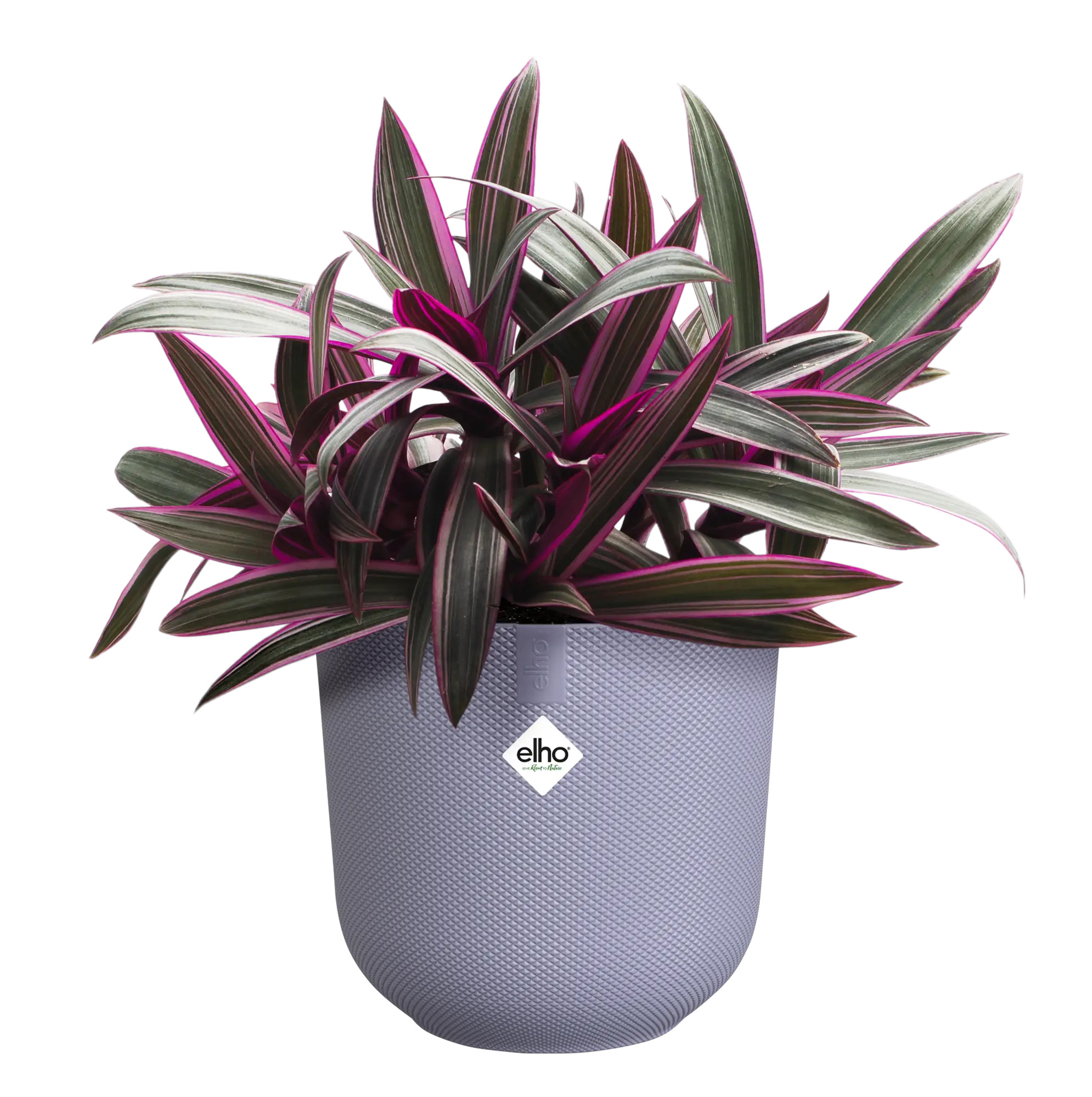 elho® Blumentopf Jazz Rund 14cm lavendel lila