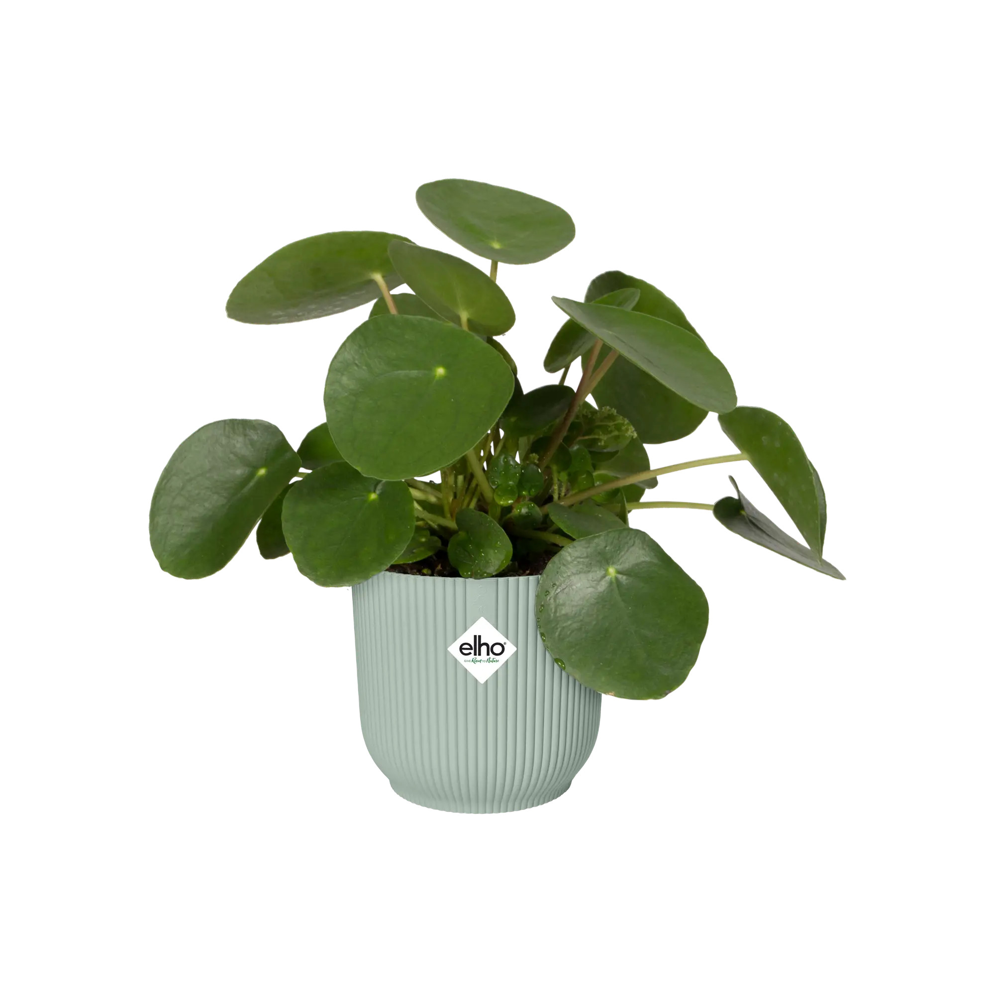 elho® Blumentopf Vibes Fold Rund 18cm sorbet grün