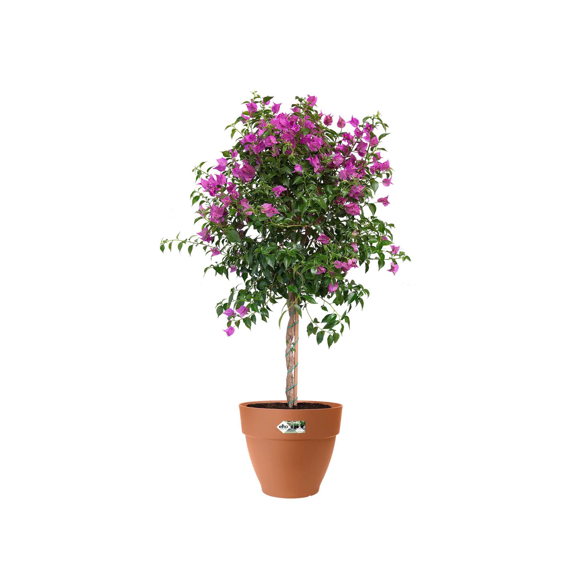 elho@ Blumentopf Vibia Campana Rund 47cm terra