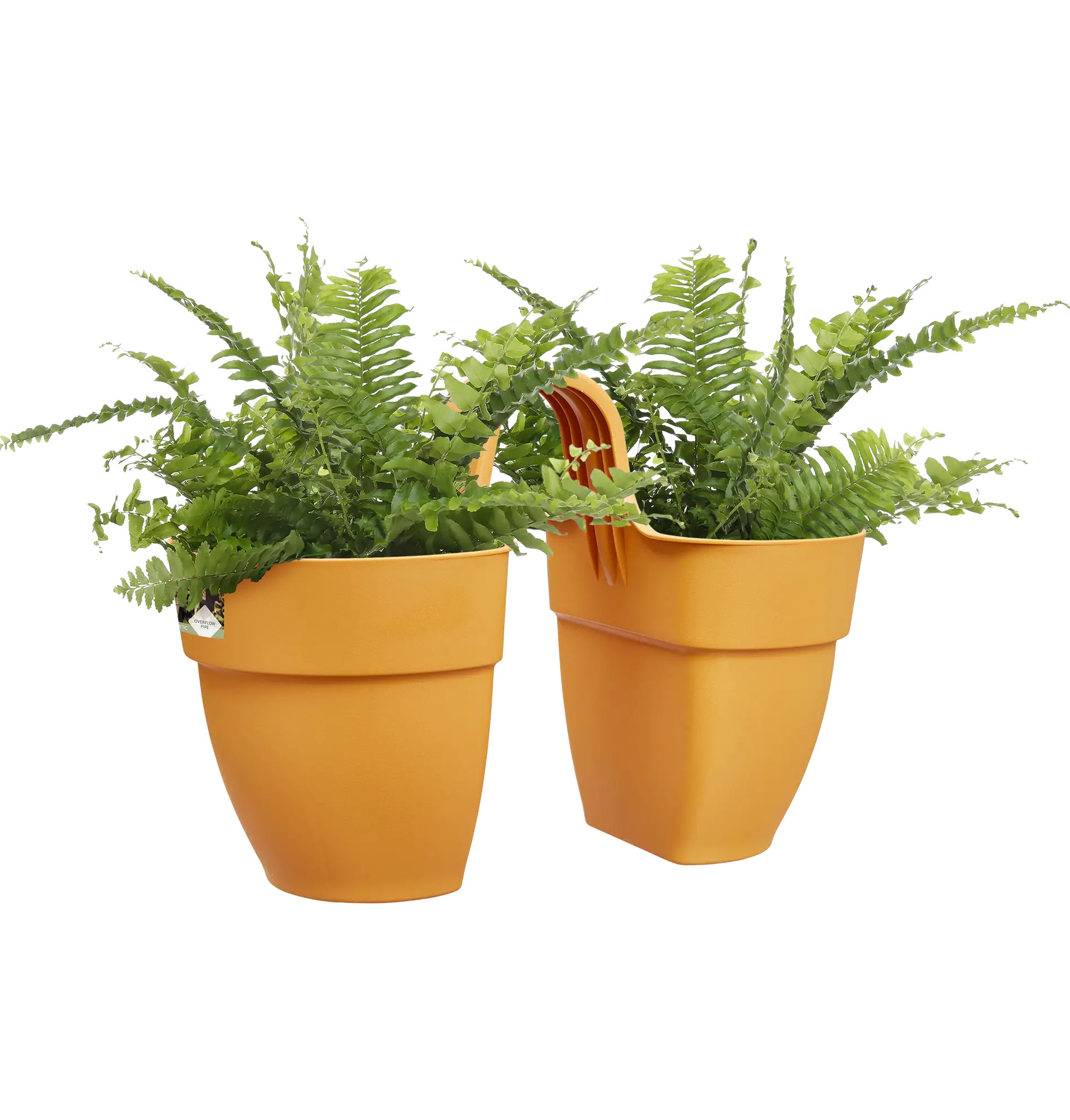 elho® Balkontopf Vibia Campana Flower Twin 21cm honig gelb