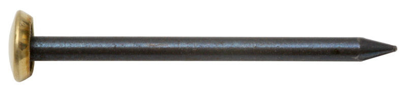 Bildernägel 2,0 × 25 mm, gebläut, mit Messingkopf, 15 Stück