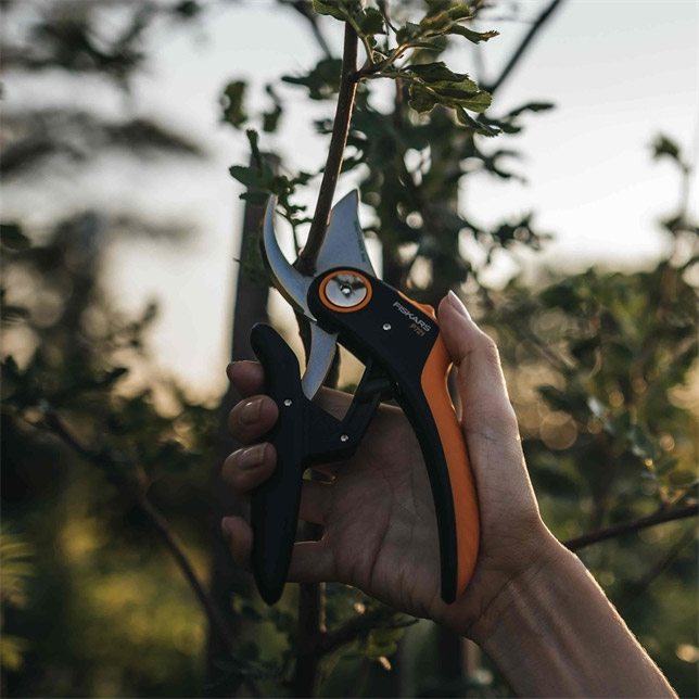 PowerLever Bypass-Gartenschere P721