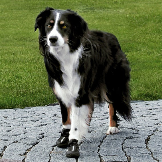 Hundeschutzstiefel Walker Active TRIXIE Gr. L
