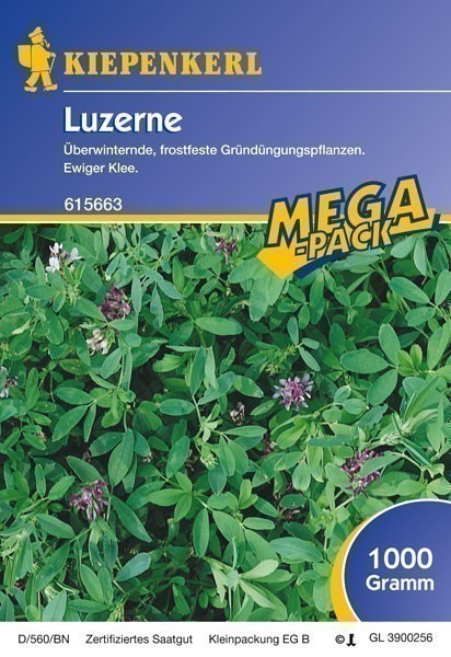 Gründünger-Saaten Luzerne, 1 kg Medicago sativa