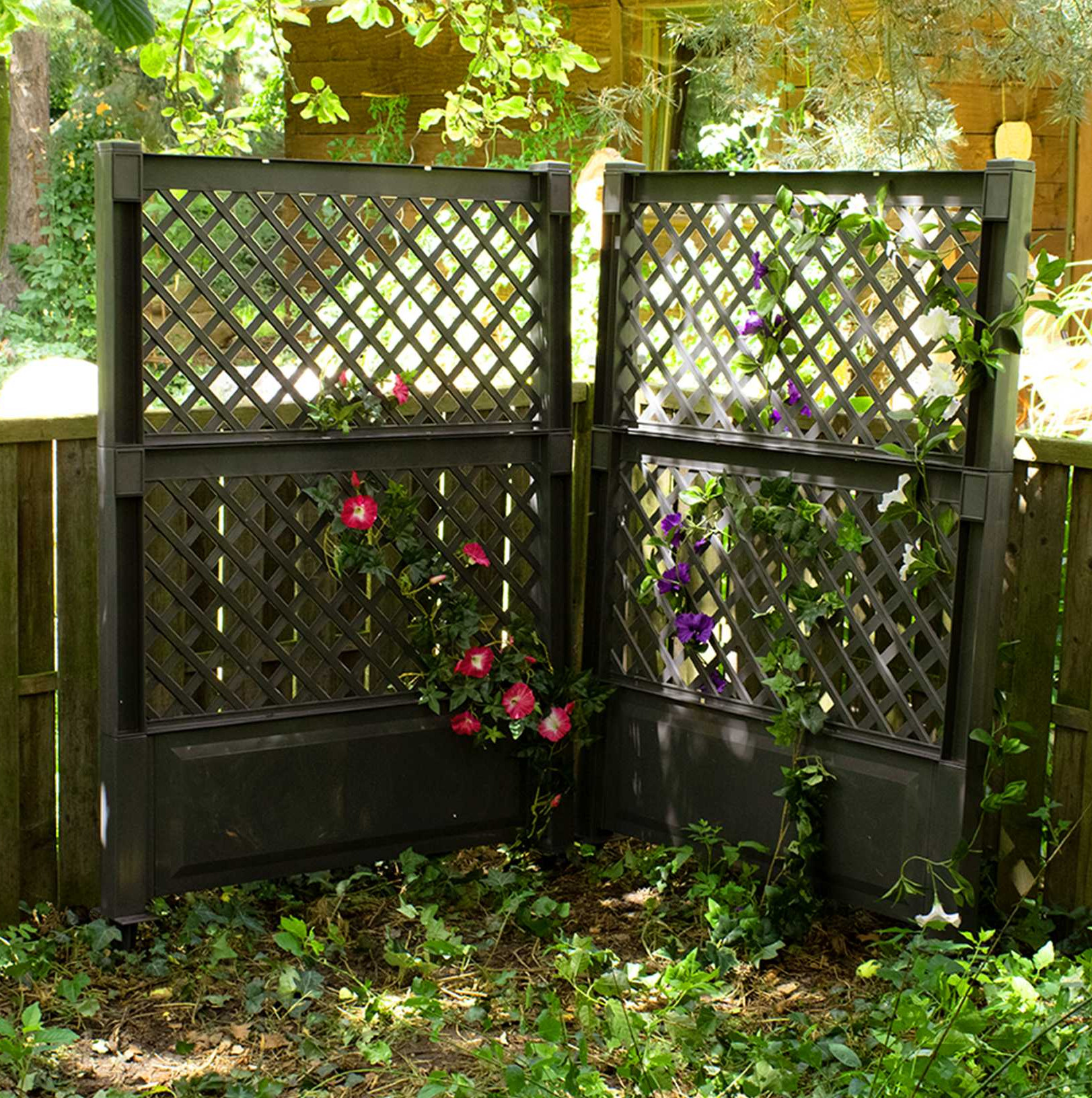 KHW Spalier mit Erdspiess 2er Set je 100 cm anthrazit