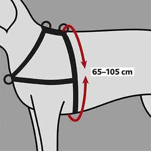 Trainingsgeschirr Lead'n'Walk Soft M-L 55-90 cm schwarz