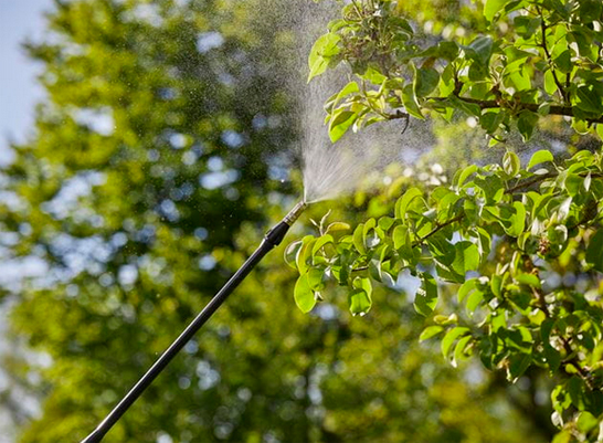 GARDENA Rückenspritzgerät 12L Plus 11142-20