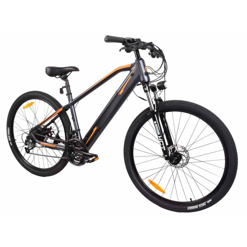 E-Bike / E-Fahrrad / Elektro Fahrrad Advance X1 29" Li-Ionen-Akku