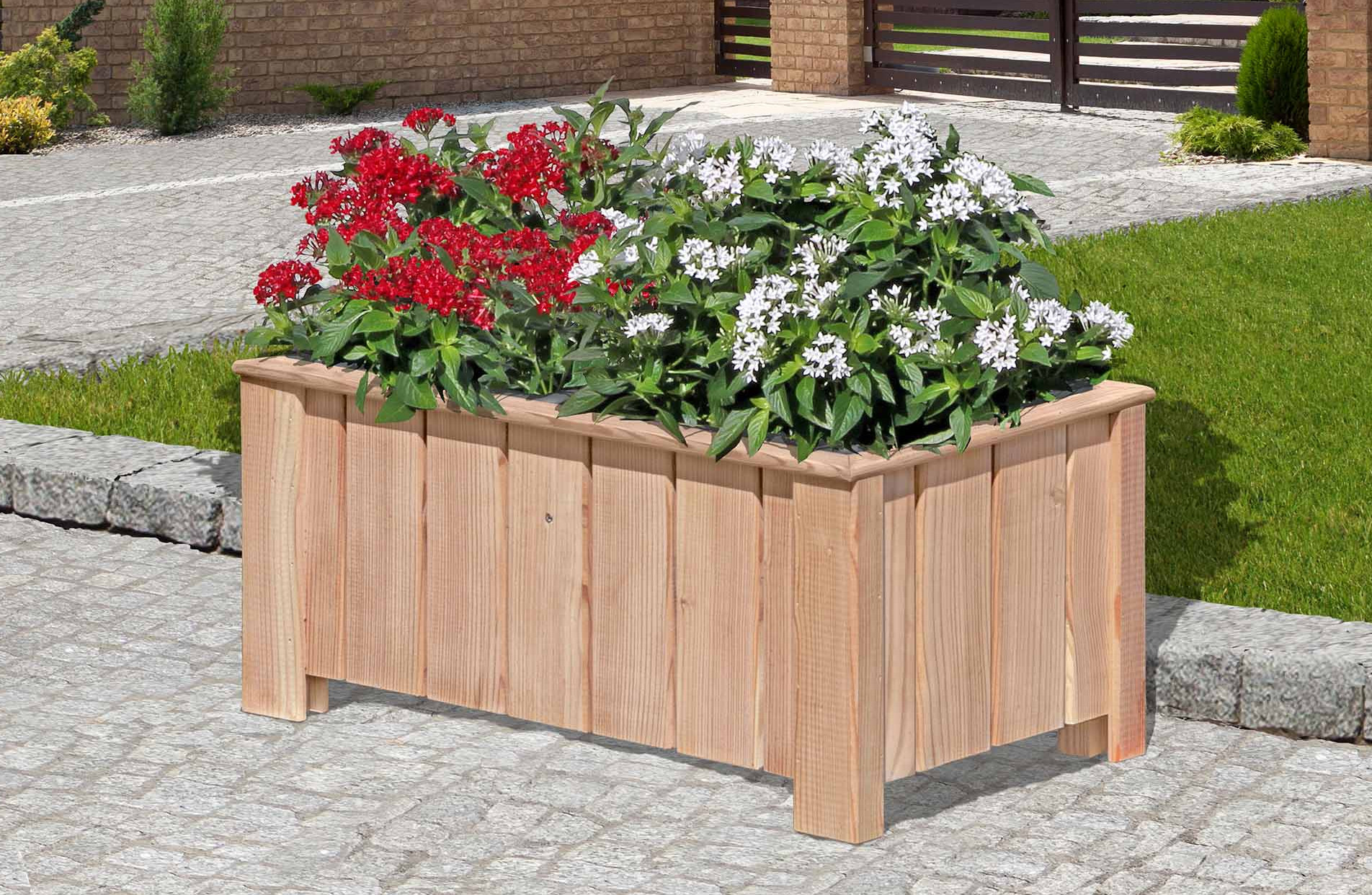 Pflanzkasten CLEO Lärche natur 69x38x30cm 2er